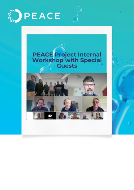 PEACE Project Internal Workshop with special guests on alkaline electrolysis and green hydrogen production